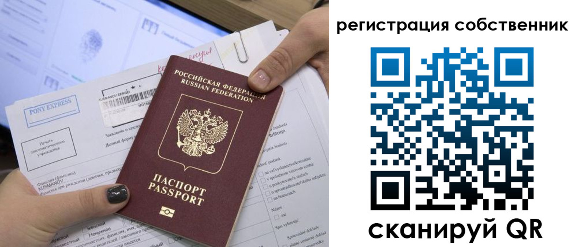 прописка поиск в Зверево